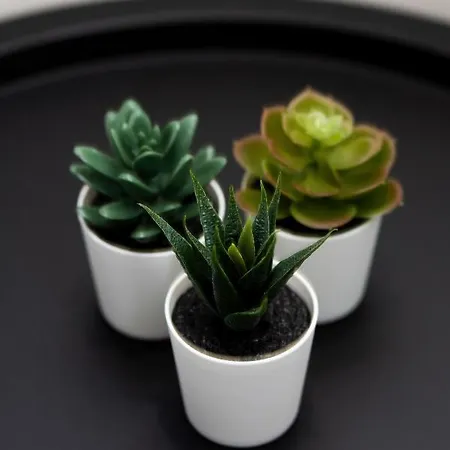 Browary Warszawskie By Renters Daire *